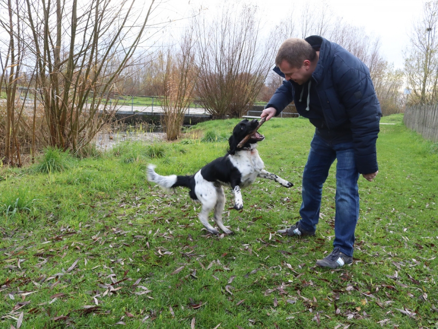 Samen voor altijd: baasje en gezelschapsdieren kunnen samen begraven worden Samen voor altijd: baasje en gezelschapsdieren kunnen samen begraven worden